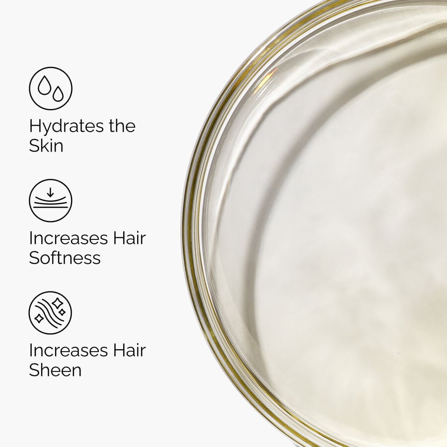 100% Organic Cold-Pressed Moroccan Argan Oil - US 9371