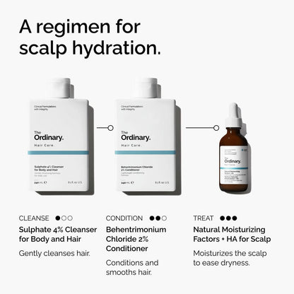 Natural Moisturizing Factors + HA for Scalp - US 9507