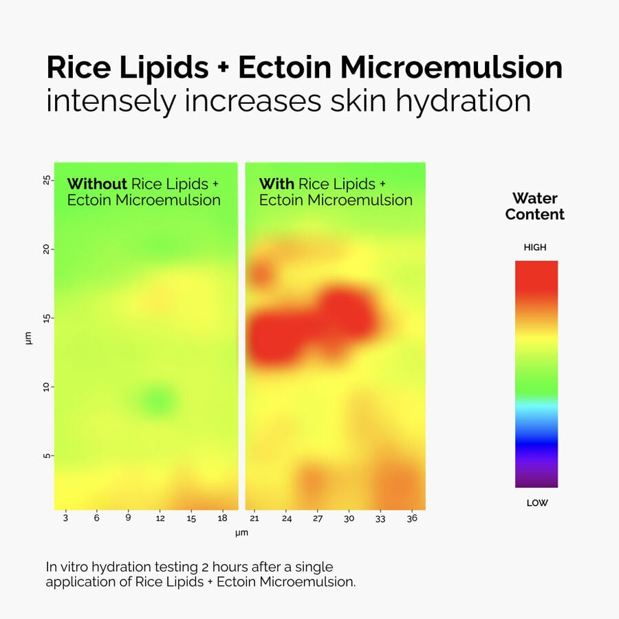 Rice Lipids + Ectoin Microemulsion - US 8150